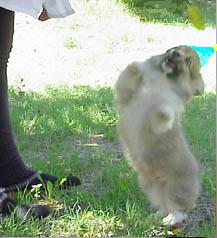 dancing.jpg